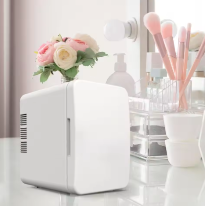 Mini Portable Refrigerator